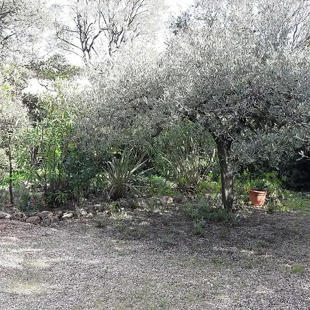 Avenue Alfred De Musset سانت أي جولف